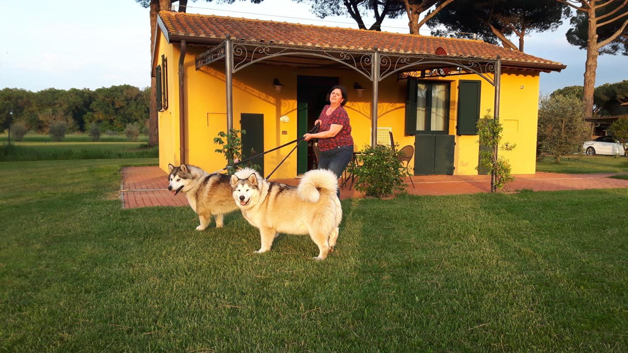 La Fattoria Di Tirrenia Aparthotel Buitenkant foto