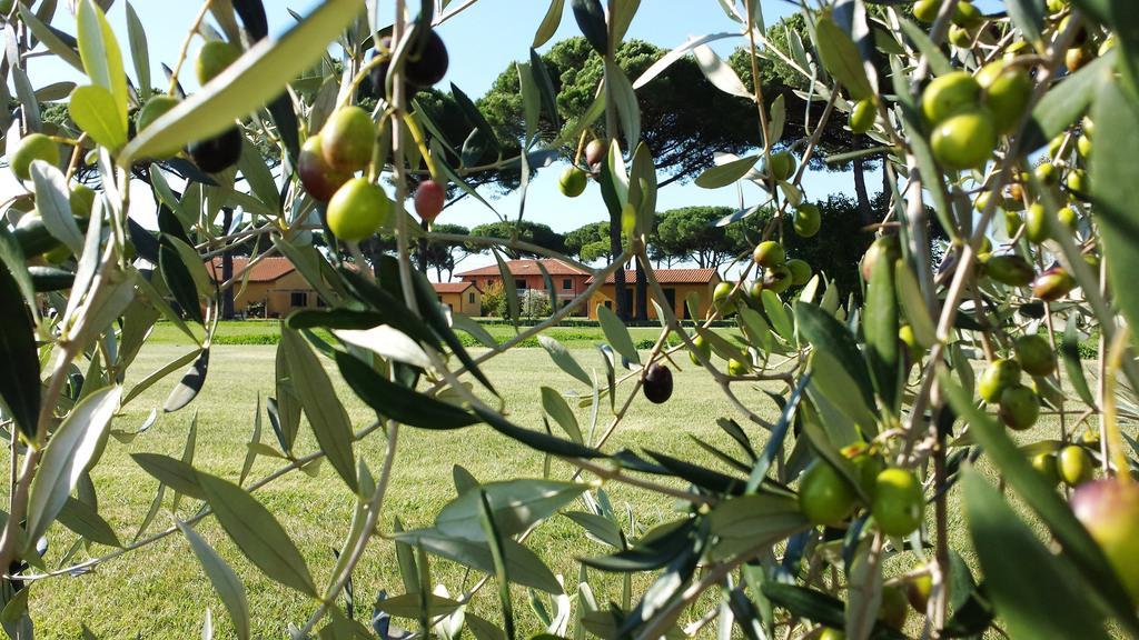 La Fattoria Di Tirrenia Aparthotel Buitenkant foto