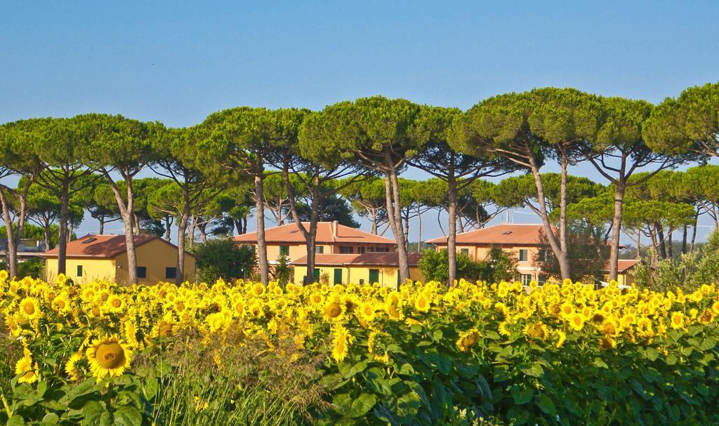 La Fattoria Di Tirrenia Aparthotel Buitenkant foto