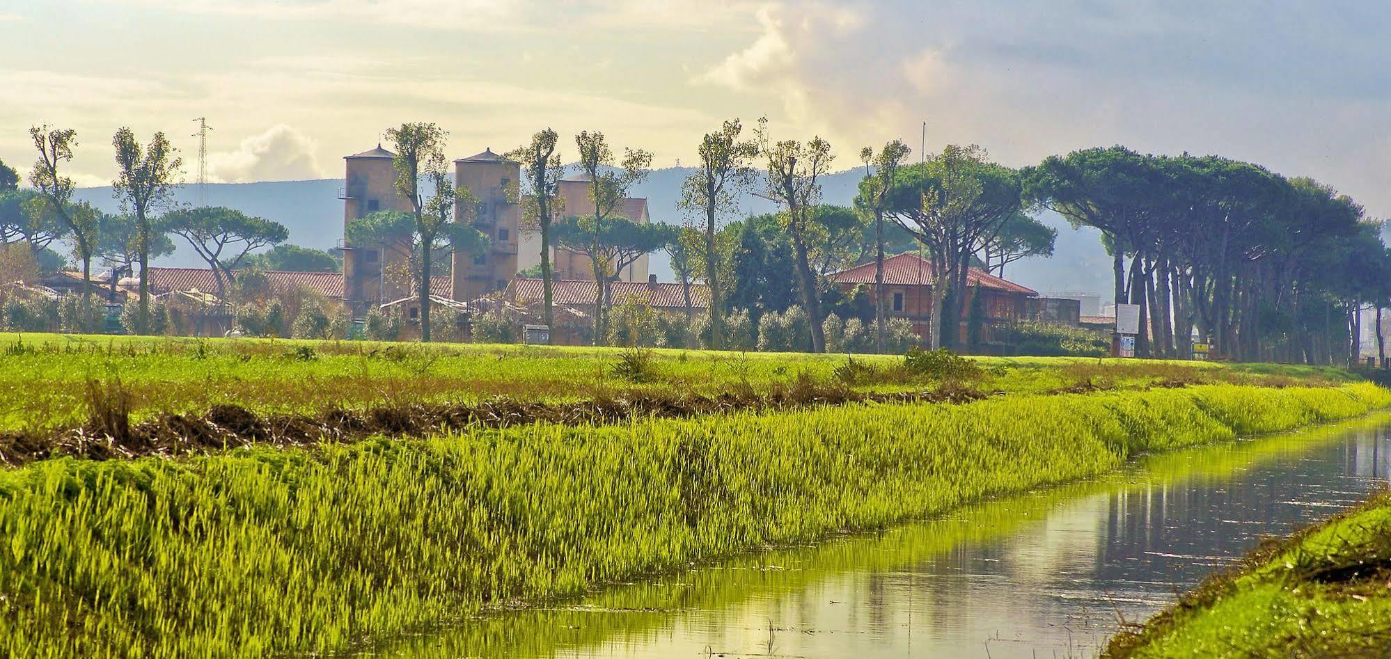 La Fattoria Di Tirrenia Aparthotel Buitenkant foto