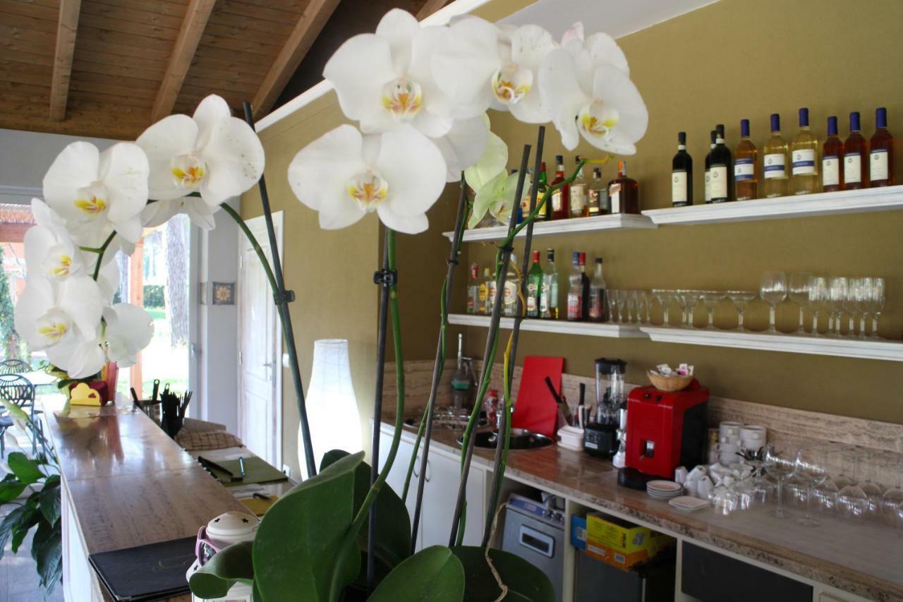 La Fattoria Di Tirrenia Aparthotel Buitenkant foto